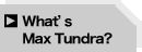 What's Max Tundra?